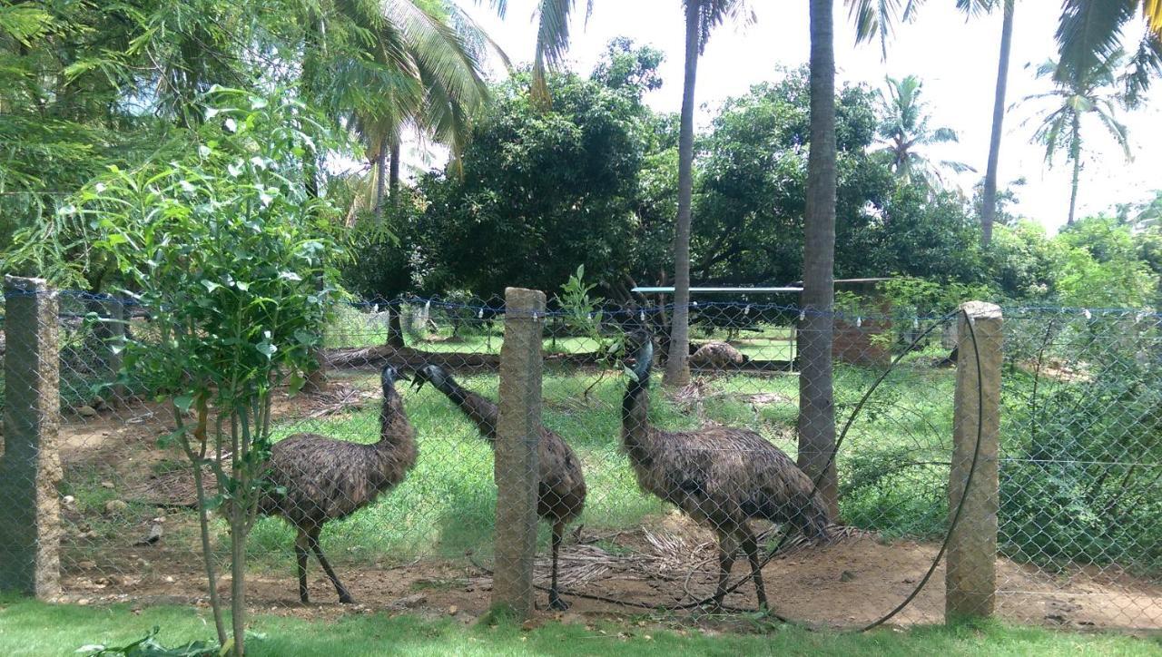 Mango Village Farm House Nelliyampathy Exterior foto